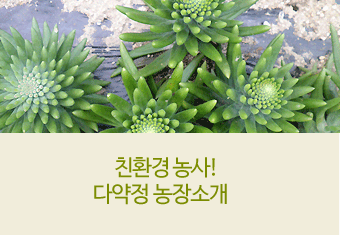 �����ϱ�