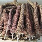 ��ǰ�� �̹���