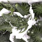 ��ǰ�� �̹���